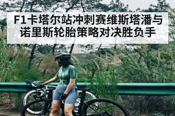 F1卡塔尔站冲刺赛维斯塔潘与诺里斯轮胎策略对决胜负手